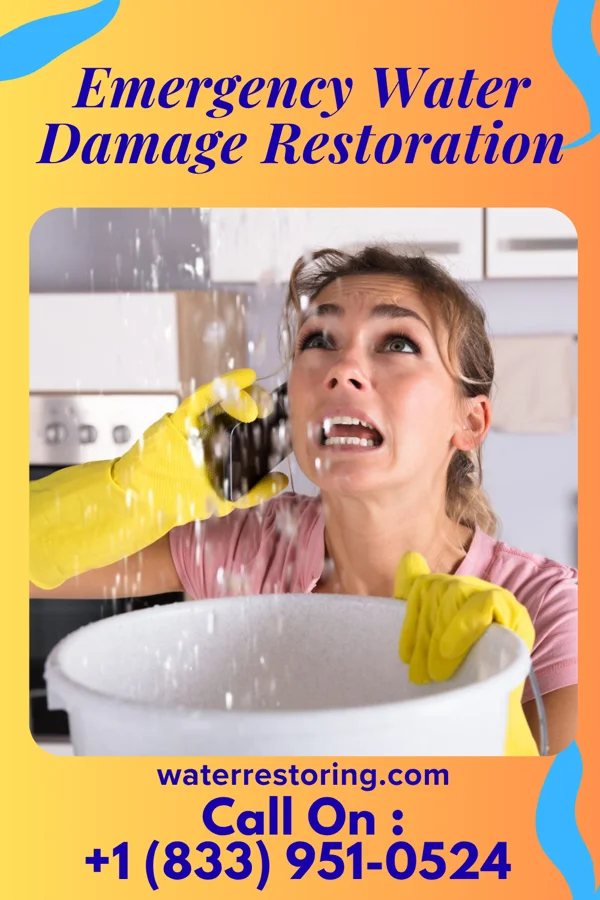 Emergency Water Damage Restoration in Western Springs, IL