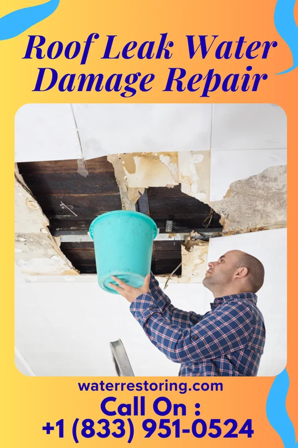 Roof Leak Water Damage Repair in Western Springs, IL