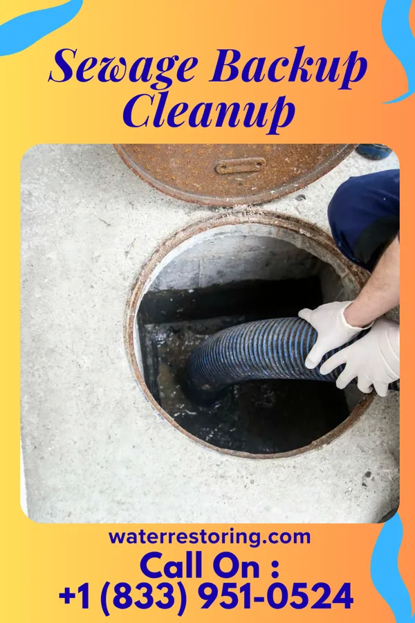 Sewage Backup Cleanup in Western Springs, IL