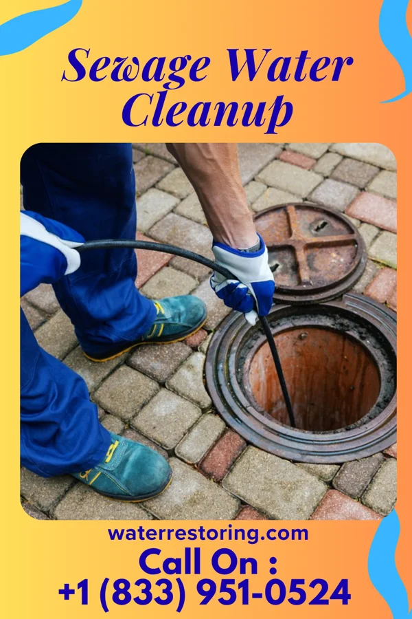 Sewage Water Cleanup in Western Springs, IL