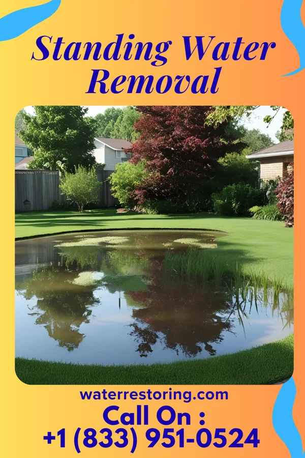 Standing Water Removal in Western Springs, IL